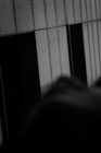 dailyPhoto38